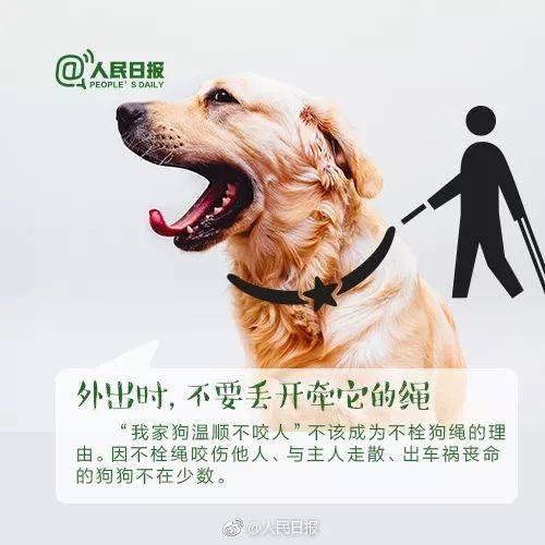 训狗户外玩具推荐，这5大品牌让遛狗变快乐，附避坑指南和真实案例