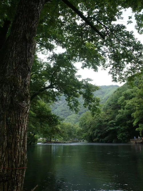 浙江夏日玩水去哪儿？这份保姆级避暑指南请收好！