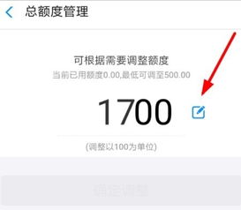 桃多多桃享卡8000临时额度如何套现？