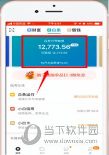 京东白条额度券取现详解，一步步教你如何操作