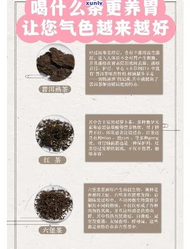 养胃茶叶品牌全解析，哪款适合你？附选购指南和真实案例