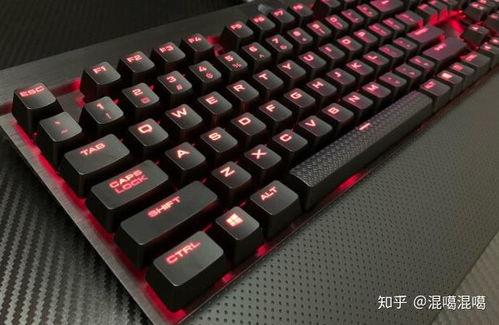 机械键盘党必看！这8大电脑品牌配机械轴体绝了，附选购指南