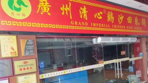 宁夏豆腐加盟店品牌推荐及案例分析