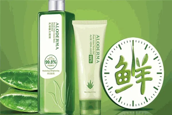 芦荟产品加盟商品牌大全，揭秘市场热门品牌与加盟商风采