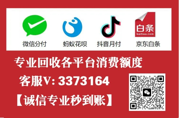 武威白条提现全攻略，手把手教你快速到账，避坑指南与真实案例解析