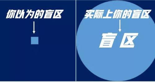 揭秘网上平台提现不给出款，常见套路、应对策略与真实案例