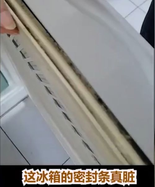 冰箱密封条选购指南，十大品牌全解析+避坑秘籍