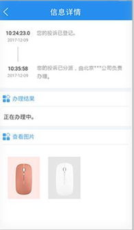 短信轰炸平台自助下单全攻略，手把手教你轻松操作