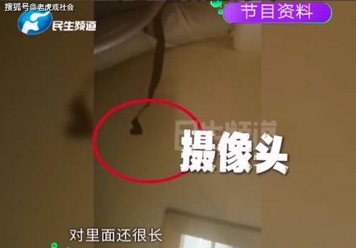 住酒店怎样查摄像头记录？全面指南与实用技巧