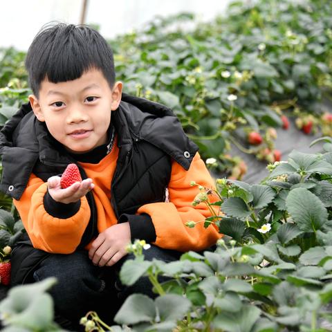 揭秘微信聊天记录查看方法，浙江用户必知的合法途径与风险警示