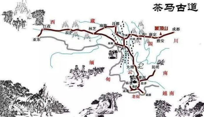 穿越五百年，中国最古老的茶叶品牌传奇与传承密码