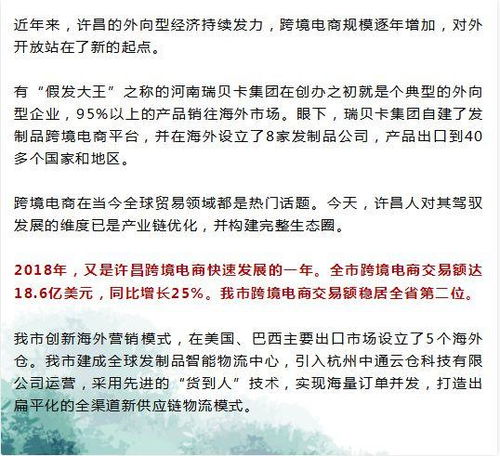 疫情后乡村生意转型指南，从破局到崛起的实战经验