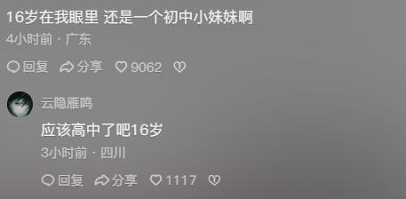 公安查开房记录背后的真相，法律依据、操作流程与公众疑问