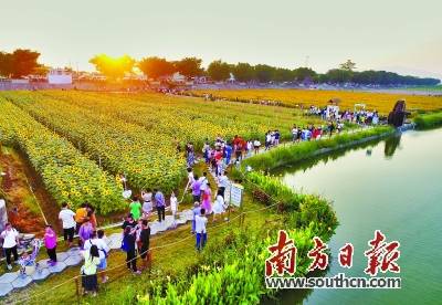 乡村振兴农林牧渔如何破局？这份发展指南请收好！