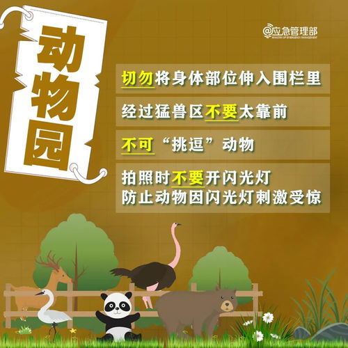 羊小咩便荔卡最安全提现攻略大解析