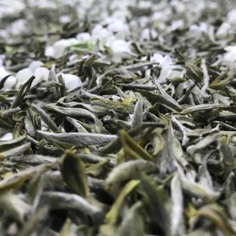 长乐茶叶招商加盟全攻略，从0到1轻松开店指南