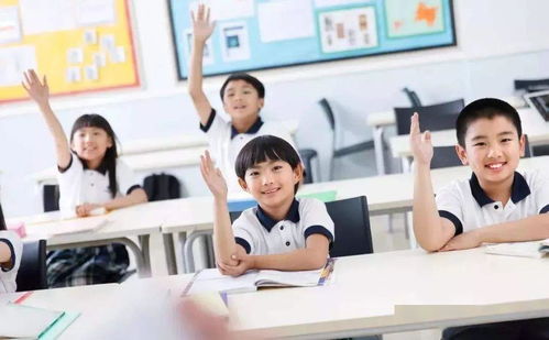 阜新西点师傅培训全攻略，手把手教你选对培训机构