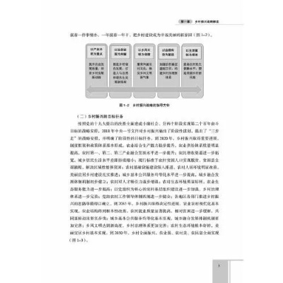 从政治经济学视角看乡村振兴，理论、实践与未来路径