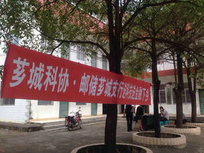 从芳字招牌看漳州芗城鸭绒被的传承与创新