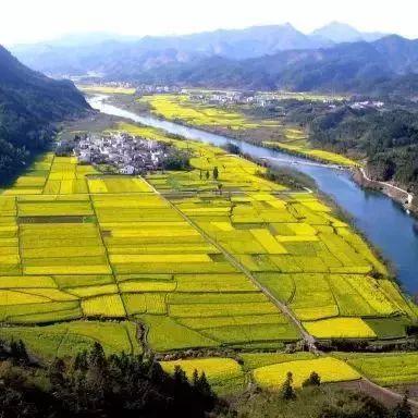 安徽品牌地毯加盟店推荐及案例分析