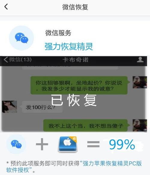 高效查询聊天记录，掌握快速准确保密技巧