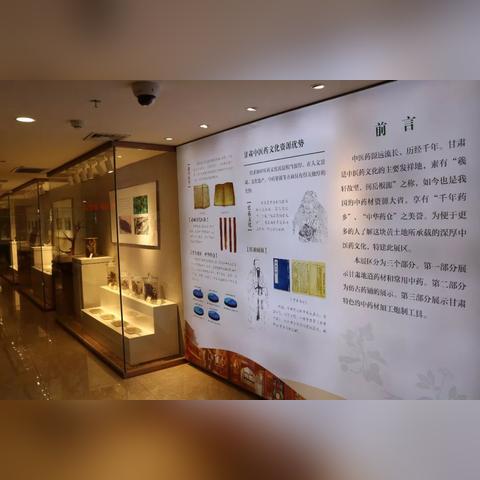国际中医药品牌发展之路