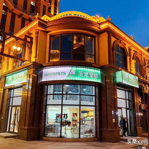 正规宠物店加盟品牌推荐