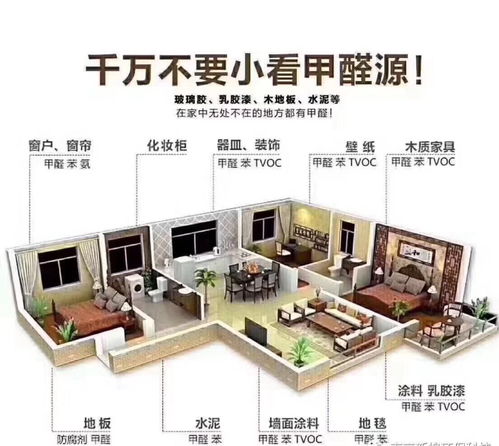 工厂装修除甲醛品牌推荐
