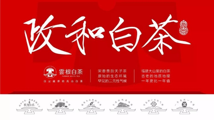 加盟白茶品牌，享受装修补贴优惠