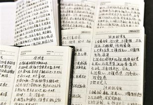 身份证查开房记录全解析，免费查询的真相与风险
