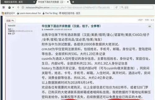开房记录真的可以查吗？揭秘背后的真相与细节