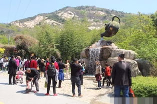 隆安旅游必打卡！这份宝藏景点排行榜，看完立刻想出发！