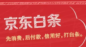白条购物额度套出来最新，深度解析与实用指南