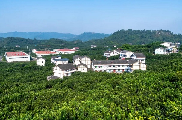 广安乡村，烟火人间里的烟火气与振兴路