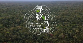 户外品牌des，探索自然，享受生活