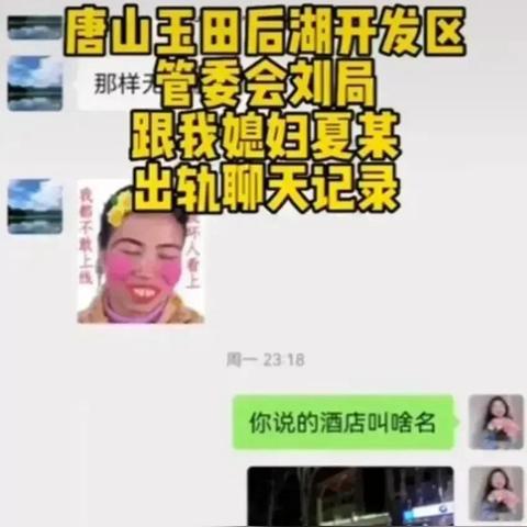 网上查开房记录的真相与风险