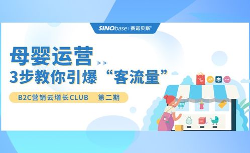 母婴品牌销售策略与案例分析
