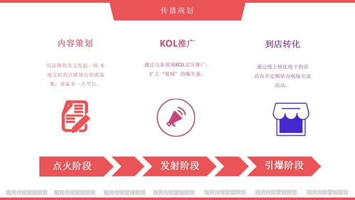 母婴品牌销售策略与案例分析