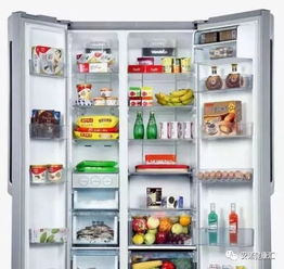 冰箱除味除臭器选购指南，十大品牌全解析，附避坑技巧与真实用户反馈