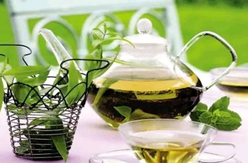 2023年大品牌绿茶排行榜，喝出健康，选对茶才不踩坑！