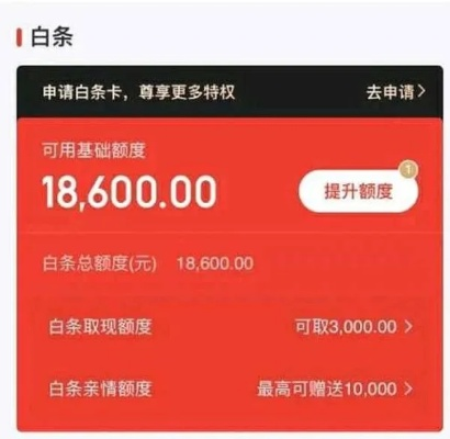 京东白条通用额度券取现全攻略，手把手教你轻松提现
