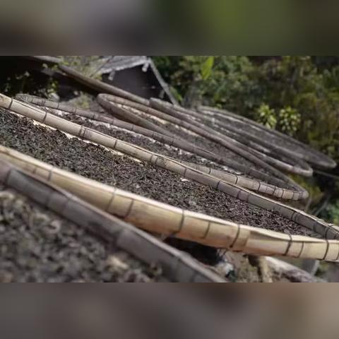 花蜜香茶叶品牌全解析，从传统到新派的品鉴指南