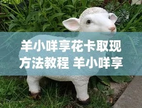 手把手教你玩转羊小咩享花卡红酒提现全攻略，从入门到精通的避坑指南