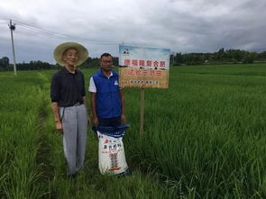 农资人如何助力乡村振兴？这五个关键点你一定要知道！