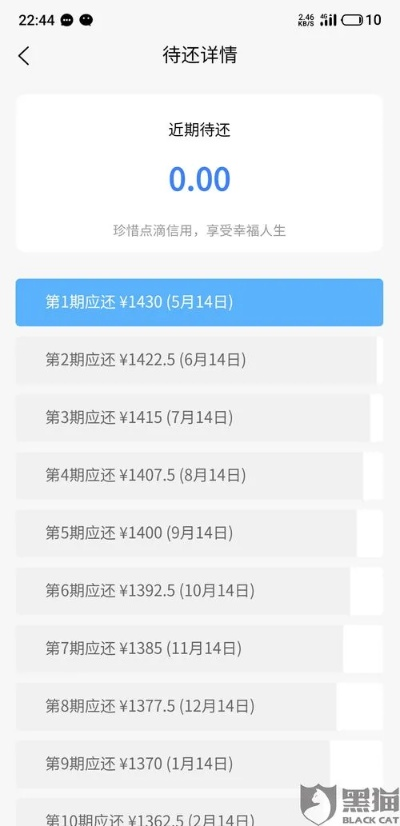 关于分期乐提现的详细指南，2047年的体验分享与案例解析