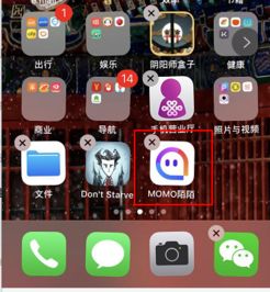 苹果手机上陌陌聊天记录删除了怎么恢复？全面解析帮你找回丢失的聊天记录