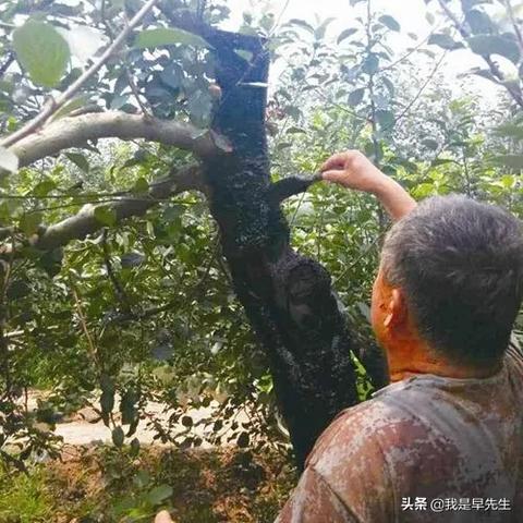 得物佳物分期额度揭秘，我的额度有多少？如何查询与提升？
