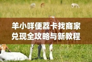 羊小咩便荔卡转账取现全攻略，手把手教你安全高效操作