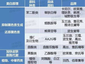 轻疗肤加盟套路揭秘，品牌竞争分析