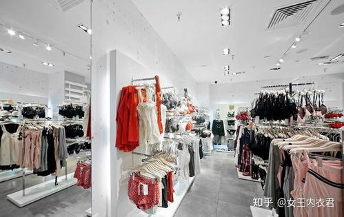 内衣加盟热门品牌推荐，如何选择优质内衣加盟品牌？